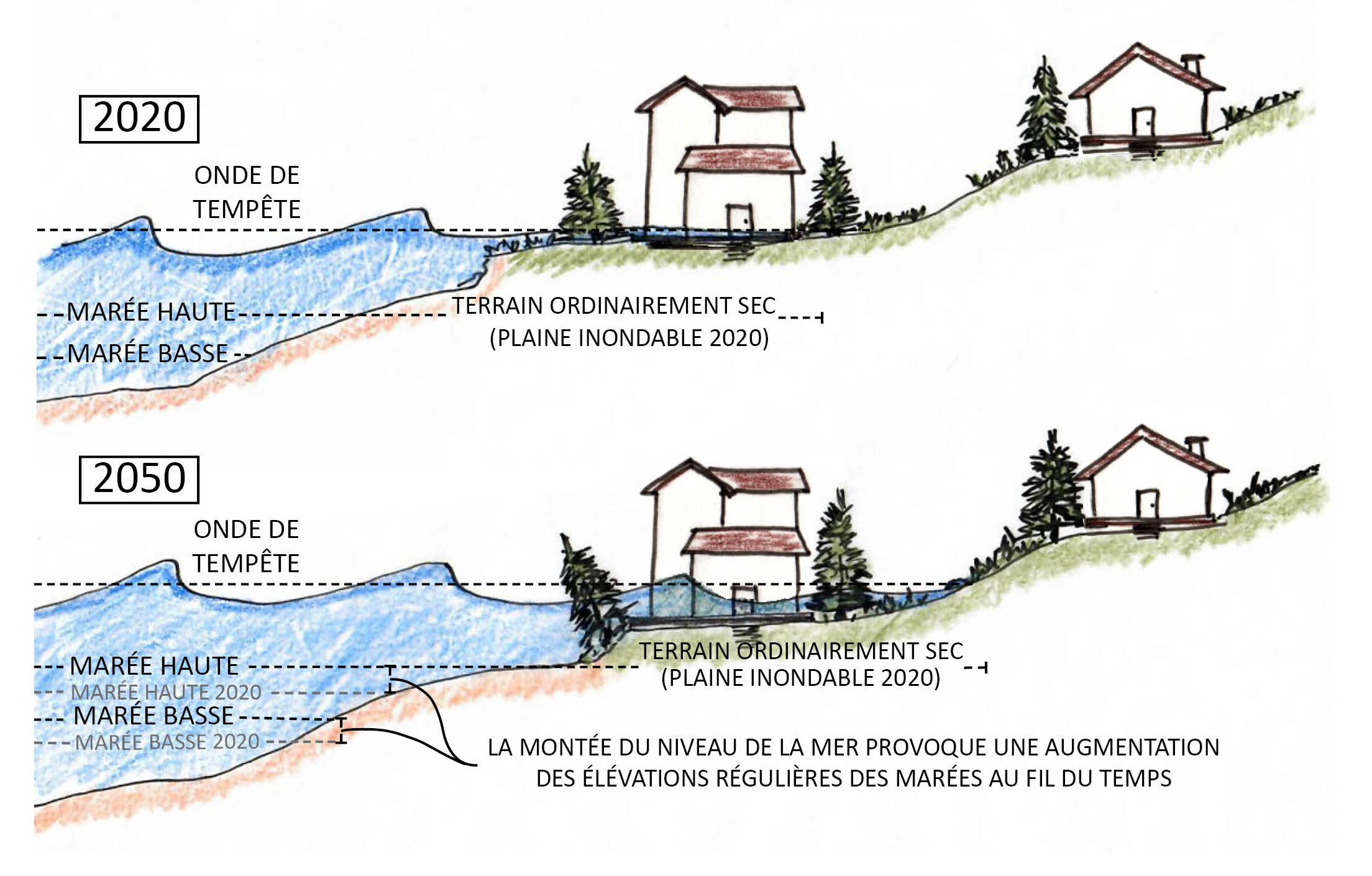 Dessin montrant comment l'élévation du niveau de la mer entraîne une augmentation de la hauteur des marées régulières (marée haute et marée basse) au fil du temps, ce qui entraîne également une augmentation du niveau de l'eau en cas d'onde de tempête.