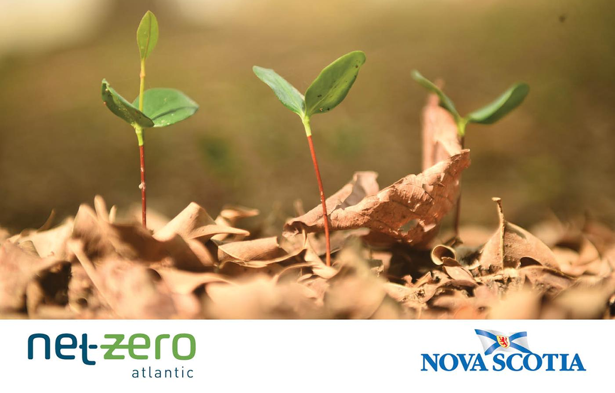 Green plant buds grow , surrounded by brown fallen leaves. In the bottom are the Net-Zero Atlantic and Nova Scotia government logos. 