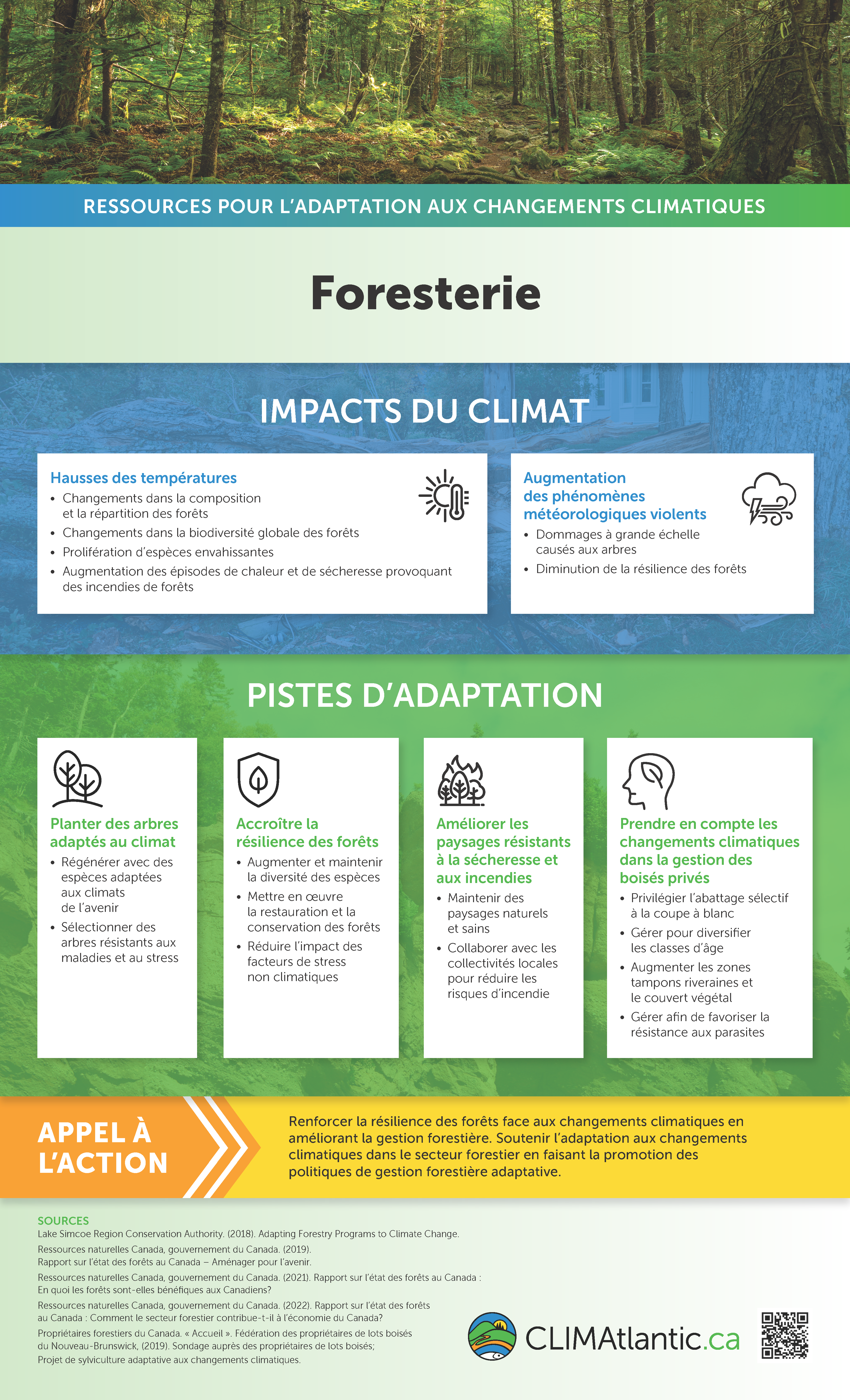 CLIMAtlantic foresterie infographie Une infographie expliquant les impacts des changements climatiques sur les forêts et suggérant des approches d'adaptation.