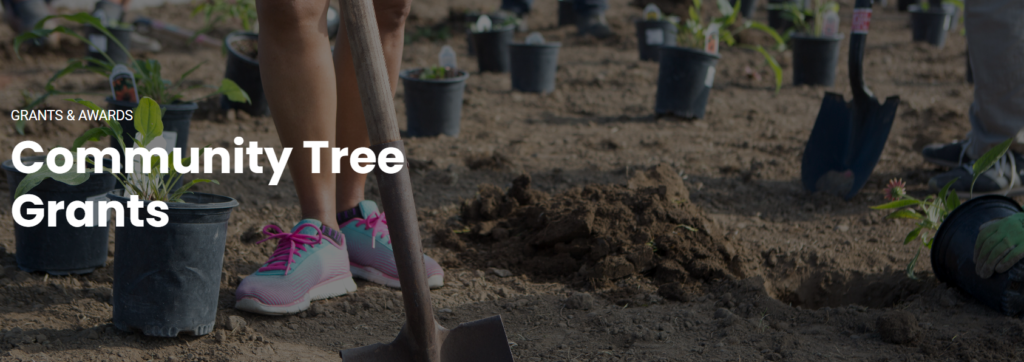 community tree grant A closeup image of people planting flowers