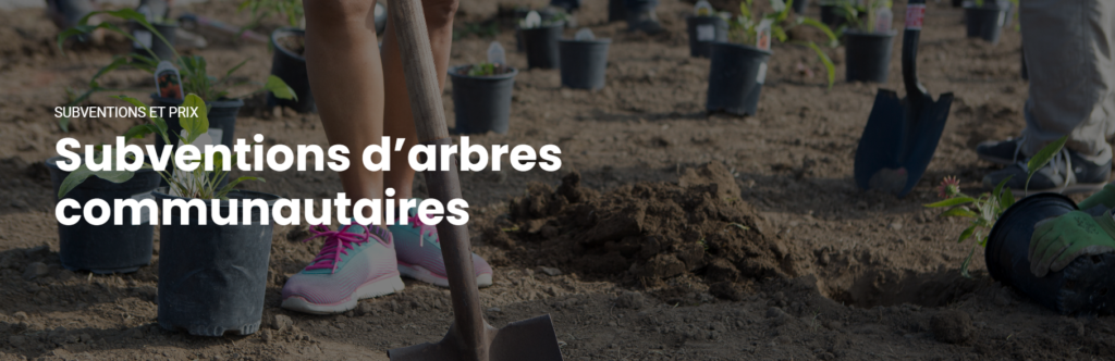 Subventions d’arbres communautaires une image en gros plan de personnes plantant des fleurs