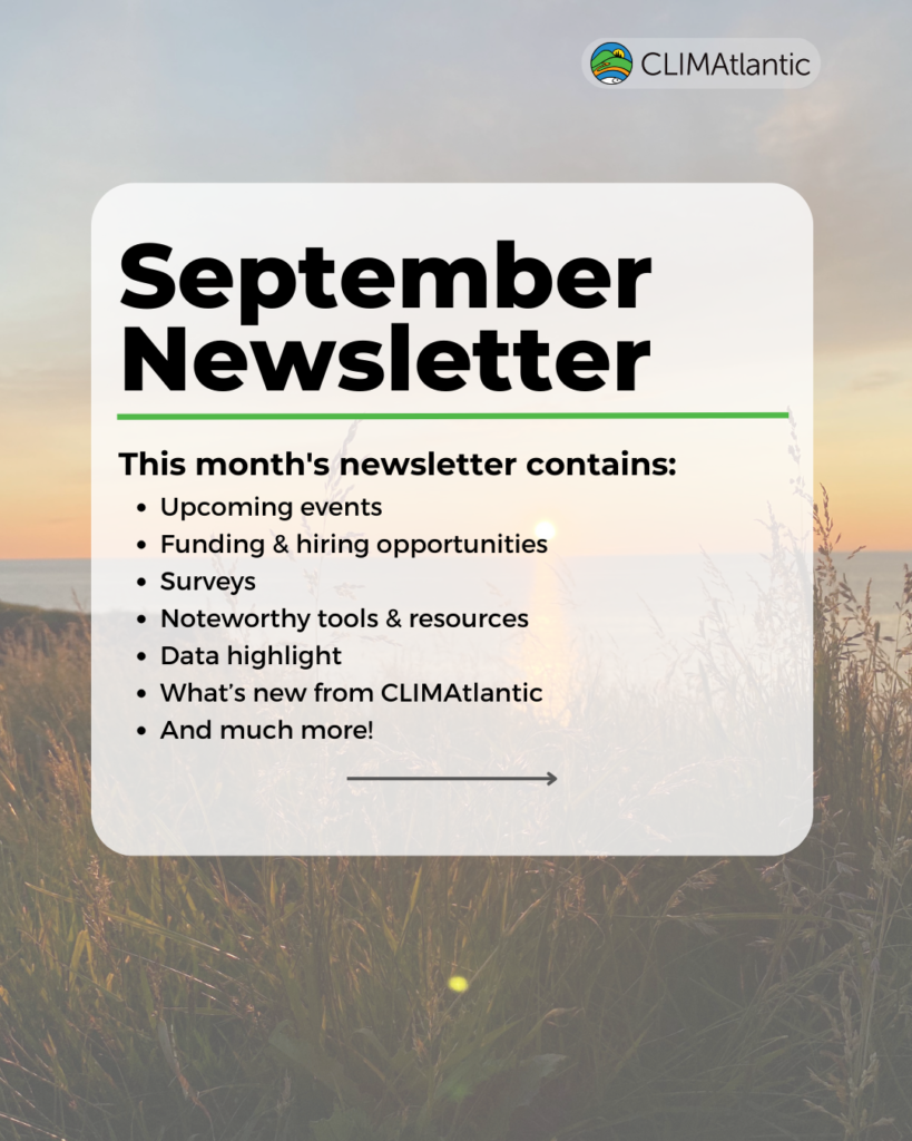 A promotional graphic for the August 2024 newsletter sendout announcement