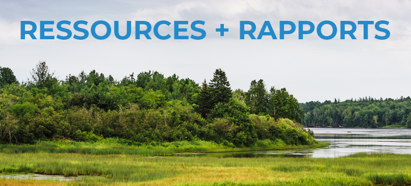 Resources+Reports-Tools1 A marshy river with forests on its banks. The words "Resources + Reports" are on an overcast sky.