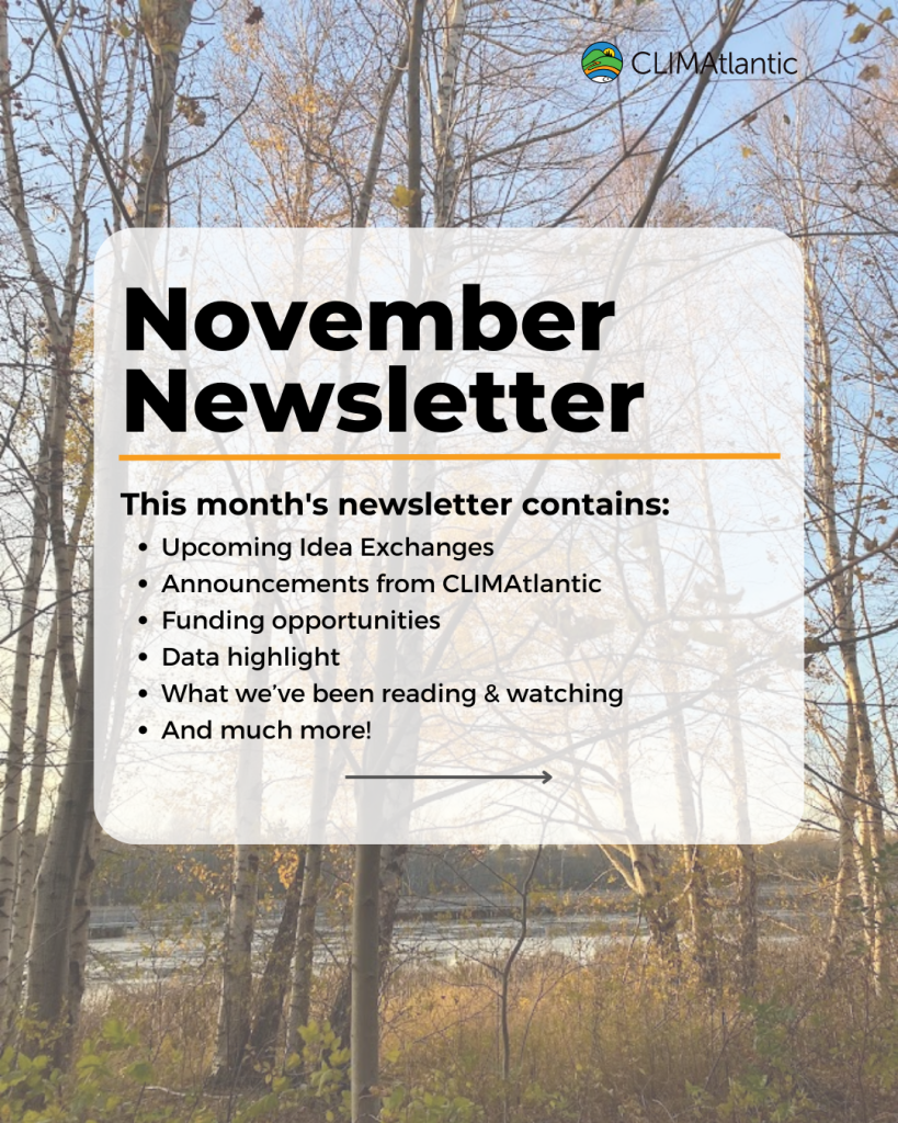 A promotional graphic for the November 2024 newsletter sendout announcement