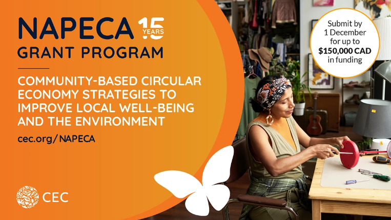 NAPECA Grant Program NAPECA Grant Program