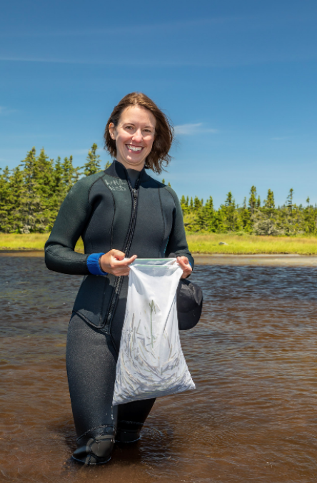 Le français suit A photo of a person in a wetsuit standing in knee-deep water, holding a bag of eelgrass and smiling at the camera. Photo d'une personne en combinaison de plongée, debout dans l'eau jusqu'aux genoux, tenant un sac d'algues et souriant à la caméra.