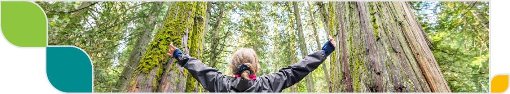 A person with their arms outstretched, with large trees in the background.