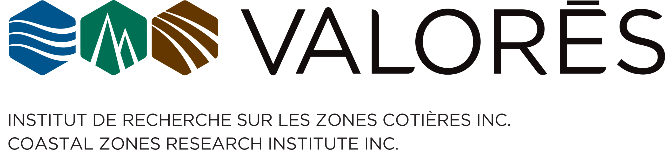 Valores Logo