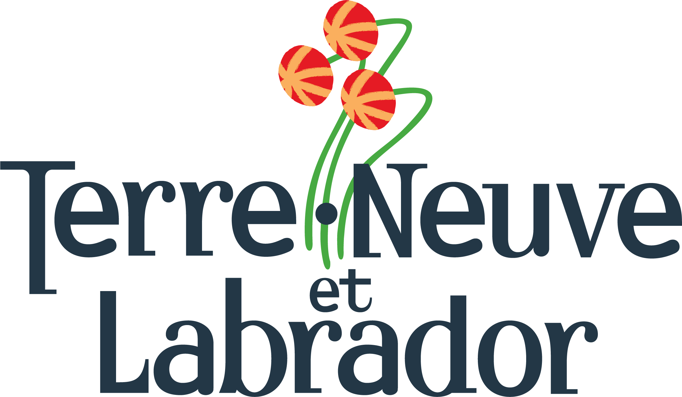 NL-Logo