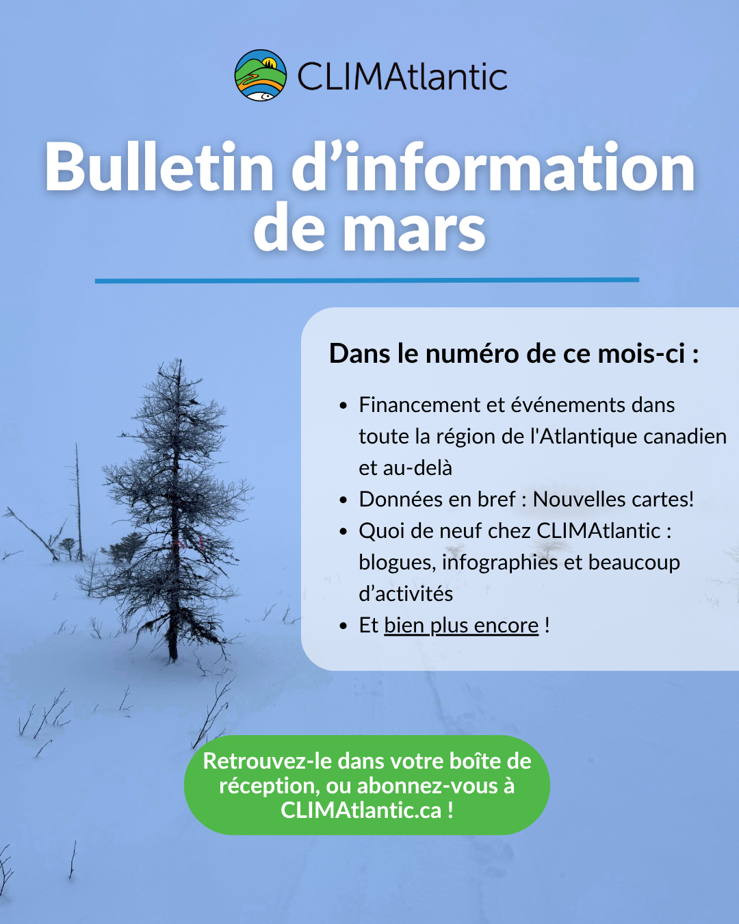 Mars-2026-Newsletter December Newsletter Banner