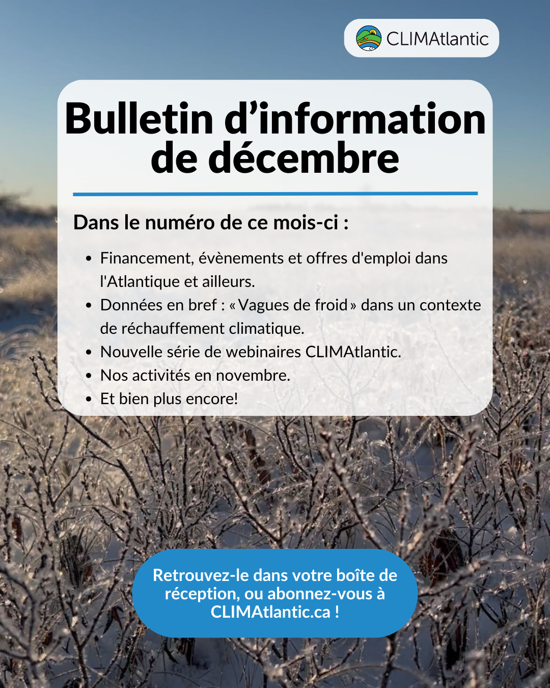 December-2025-Newsletter December Newsletter Banner