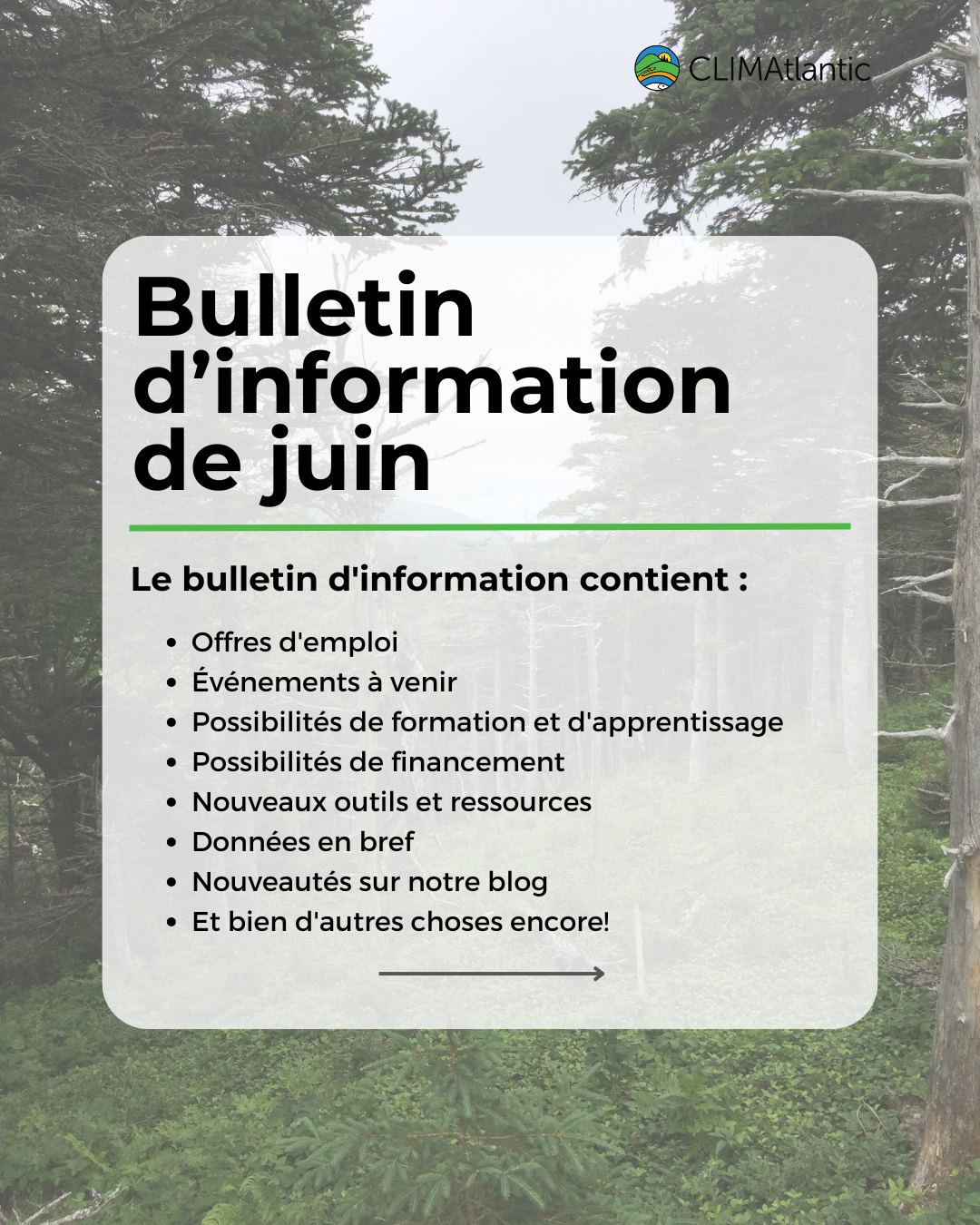 24.05.31-June newsletter February newsletter promo photo, lists key topics discussed