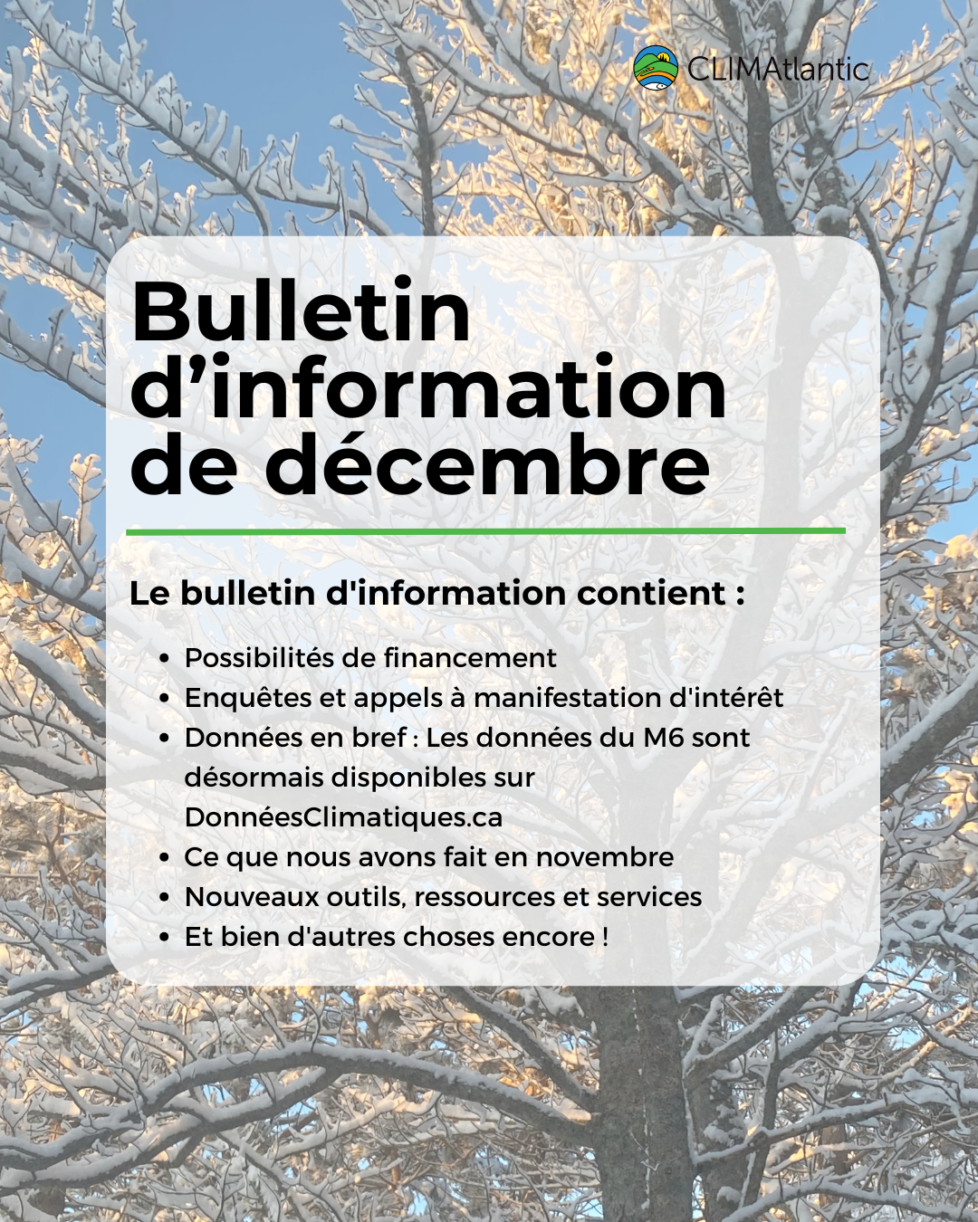 December newsletter February newsletter promo photo, lists key topics discussed