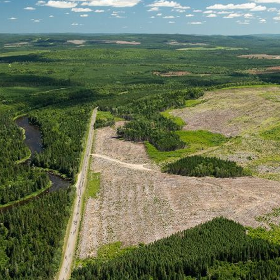 An aerial image of a forest landscape with a large clearcut.
