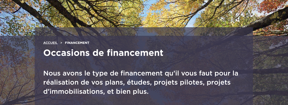 Les most "Occasions de financement. Nous avons le type de financement qui'il vous faut pour la réalisation de vos plans, études, projets pilotes, projets d'immobilisations, et bien plus" au dessus des arbres avec des feuilles jaunes, vertes, et oranges.