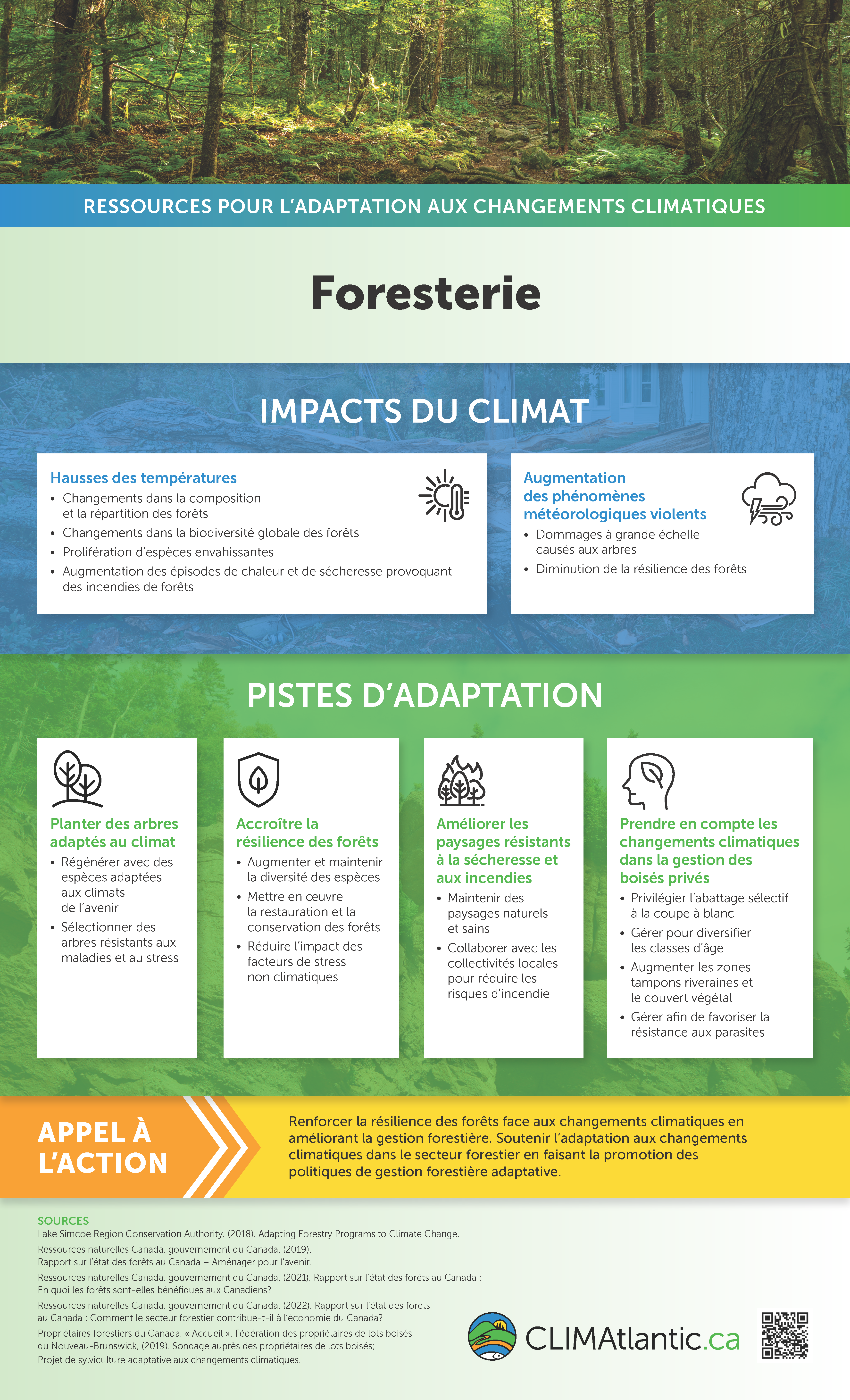 Une infographie expliquant les impacts des changements climatiques sur les forêts et suggérant des approches d'adaptation.