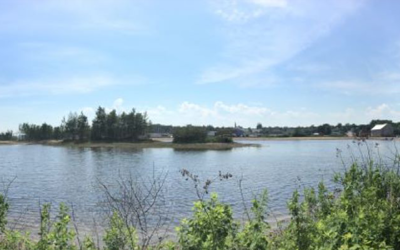 Climate Change Adaptation and Resilience Part 2: Lorne Street Naturalized Stormwater Retention Pond in Sackville, New Brunswick