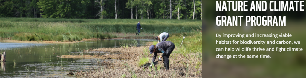 Two people collecting data in a wetland. Text to the left reads "Nature and climate grant program. By improving and increasing viable habitat for biodiversity and carbon, we can help wildlife thrive and fight climate change at the same time."