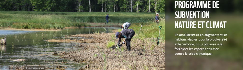 Deux personnes collectant des données dans une zone humide. Le texte à gauche se lit comme suit : Programme de subvention nature et climat. En améliorant et en augmentant les habitats viables pour la biodiversité et le carbonne, nous pouvons à la foisaider les espèces et lutter contre la crise climatique.