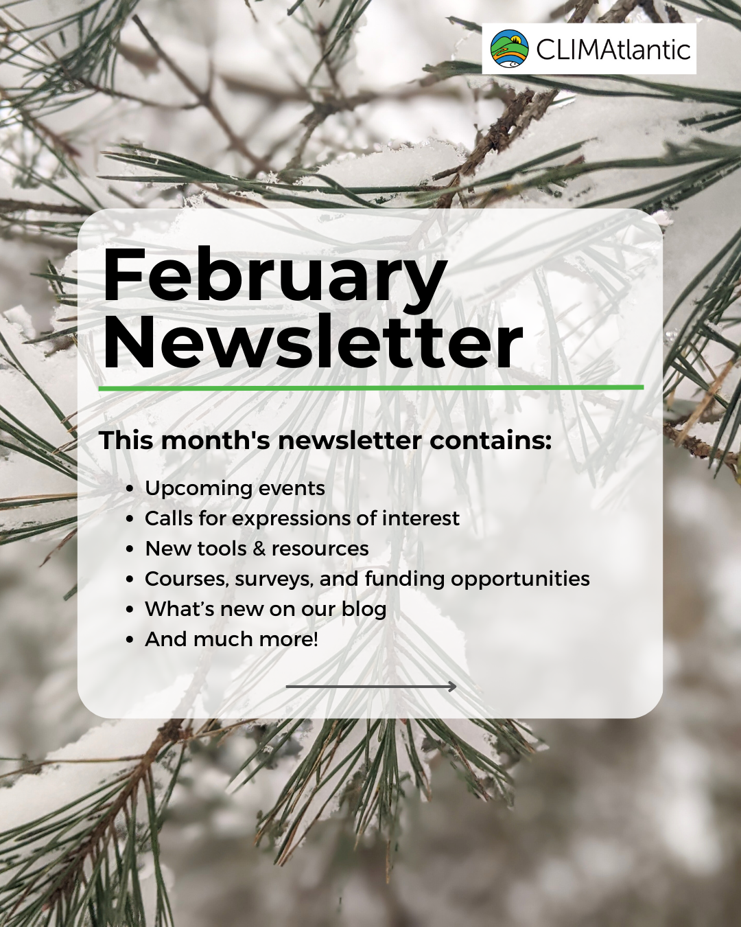 A graphic containing the table of contents for CLIMAtlantic's February newsletter. In the background is a snowy pine branch.
