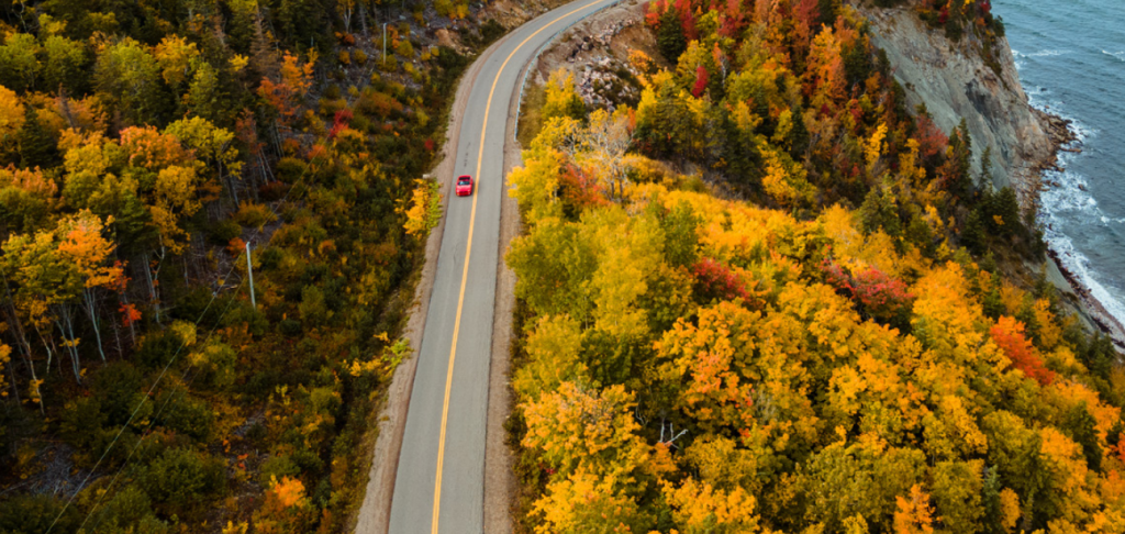 An aerial view of a red car driving along a coastal road surrounded by fall foliage.