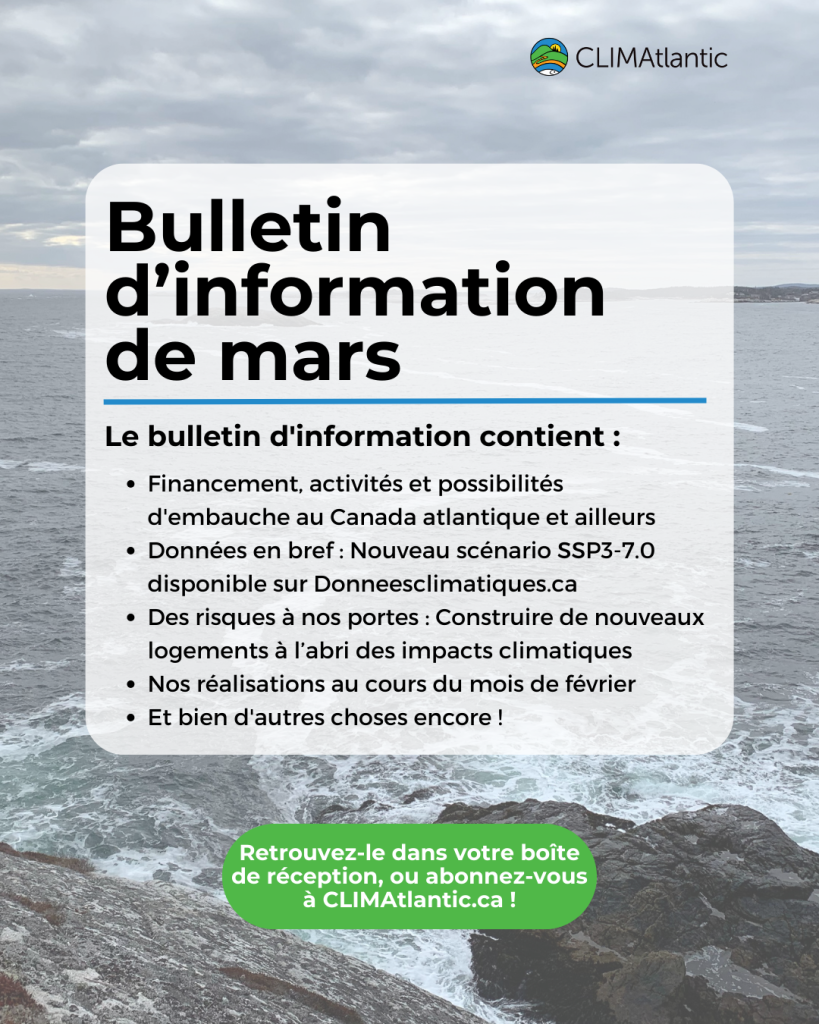 Graphique promotionnel tiré de l'annonce de la lettre d'information de novembre 2024.