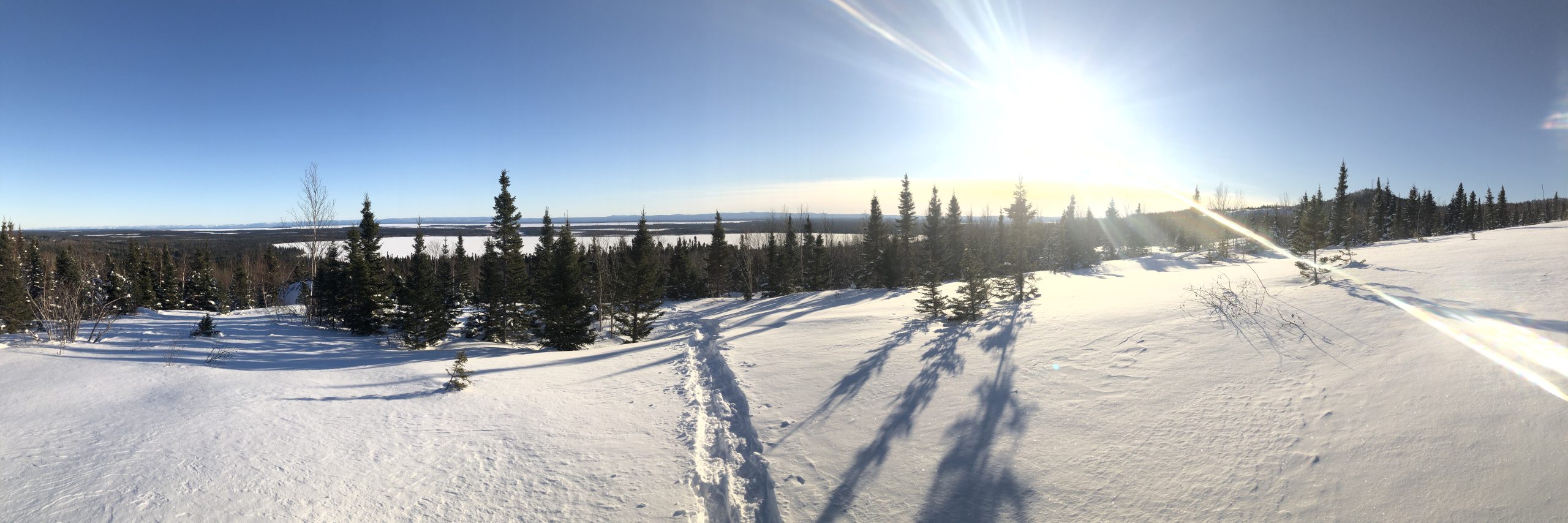 Le français suit An image overlooking Birch Brook in Labrador. A sunny day, the snowy foreground shows a set of snowshoe tracks leading into the woods in the distance. Image surplombant le ruisseau Birch au Labrador. Un jour ensoleillé, le premier plan enneigé montre un ensemble de traces de raquettes menant dans les bois au loin. 