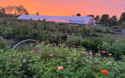 Climate Adaptation Stories: Veteran Farm Project