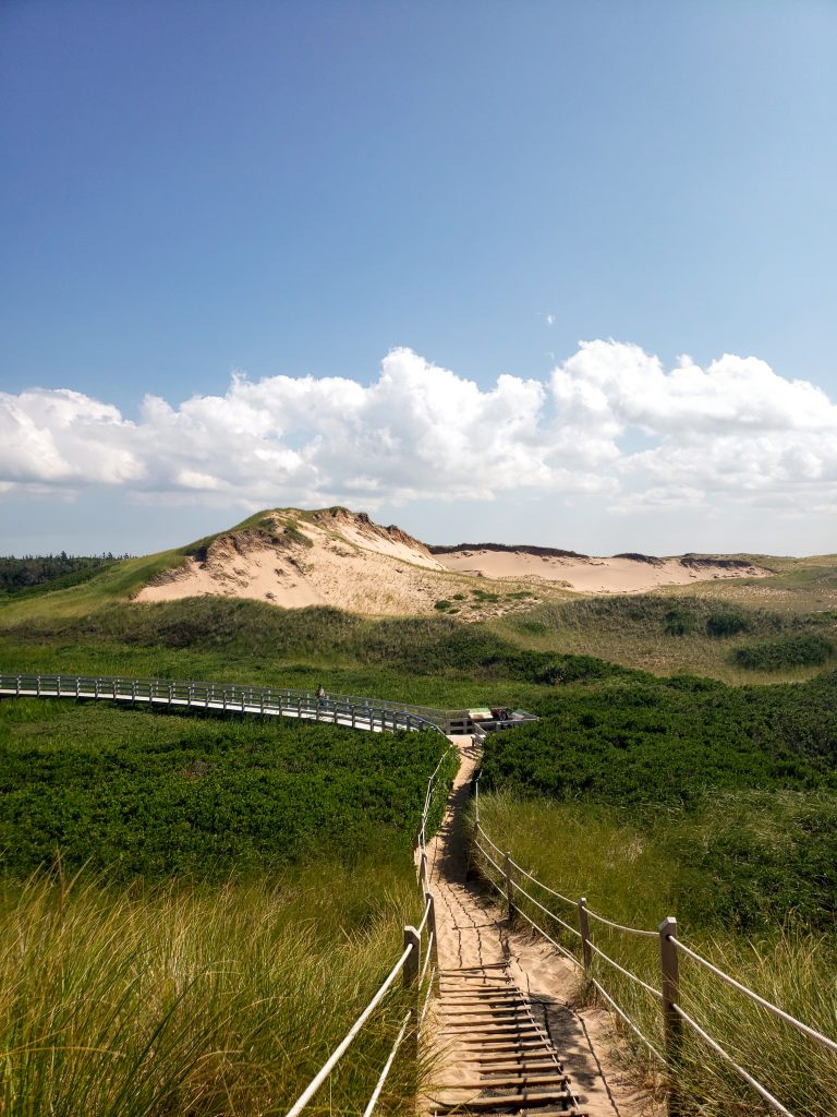 (Decorative) An image of a dune landscape. There is a bridge cutting through a grassy marsh and a sand dune emerging in the distance. The dune also has grass growing on it. 